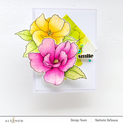 Photocentric Clear Stamps Paint-A-Flower: China Rose Outline Stamp Set