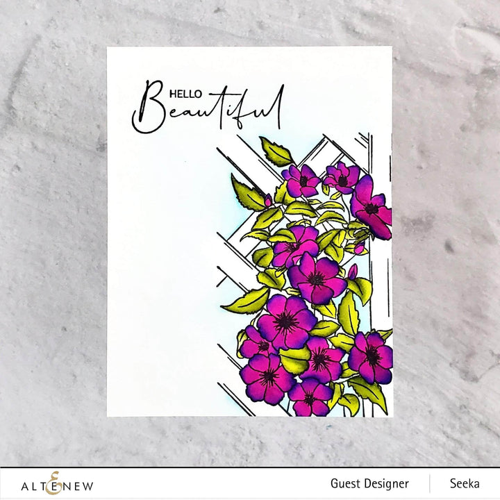 Photocentric Clear Stamps Paint-A-Flower: Clematis Outline Stamp Set