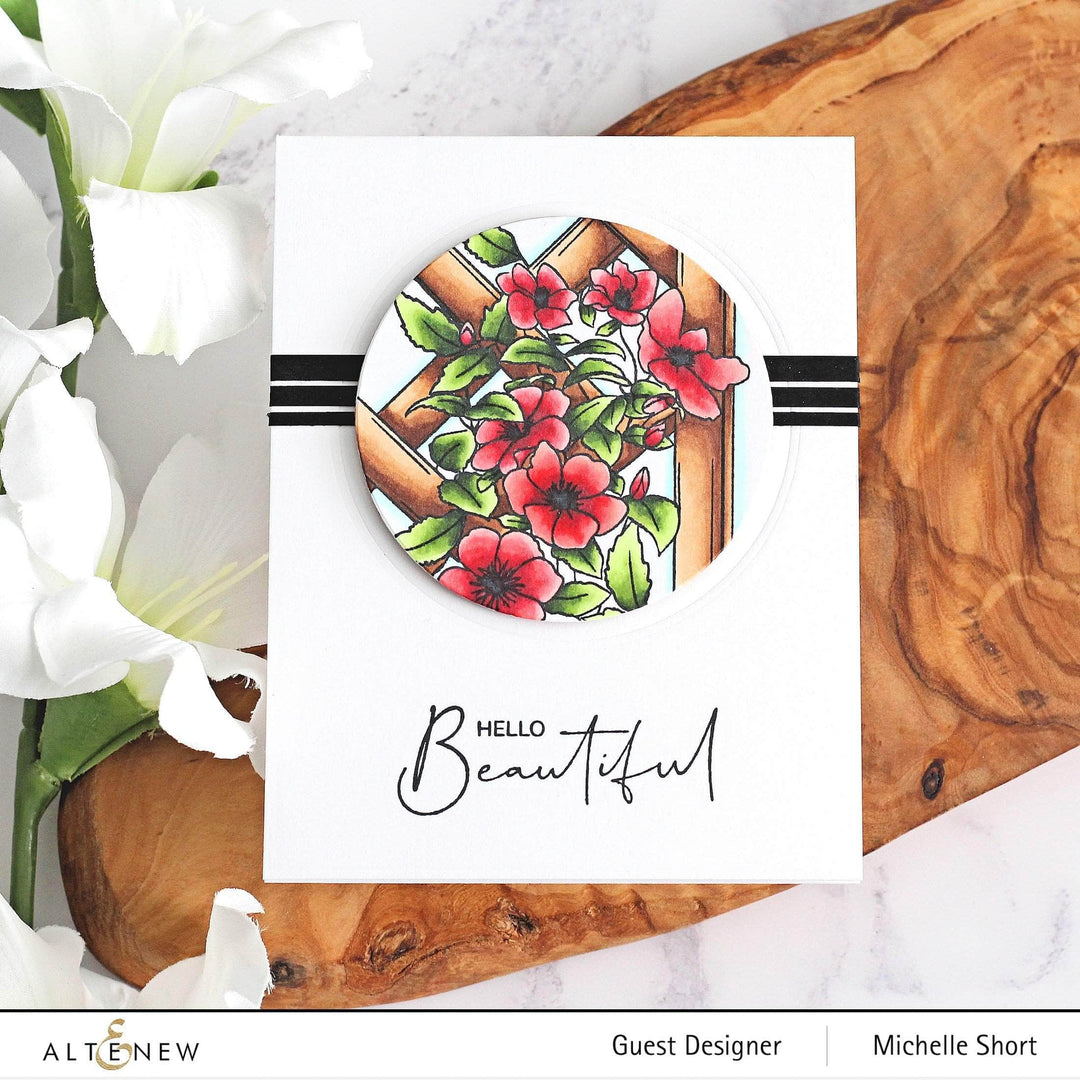 Photocentric Clear Stamps Paint-A-Flower: Clematis Outline Stamp Set