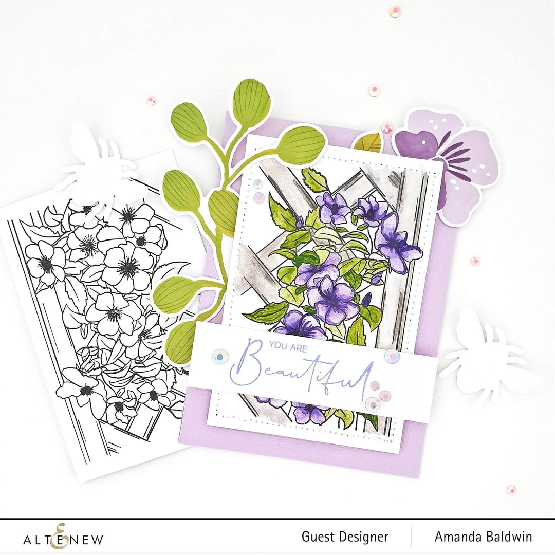 Photocentric Clear Stamps Paint-A-Flower: Clematis Outline Stamp Set