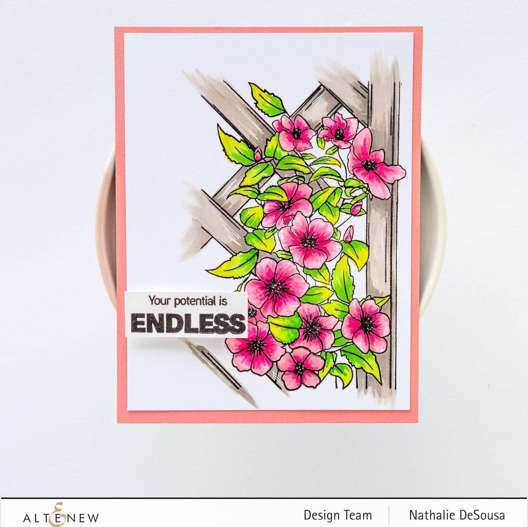 Photocentric Clear Stamps Paint-A-Flower: Clematis Outline Stamp Set