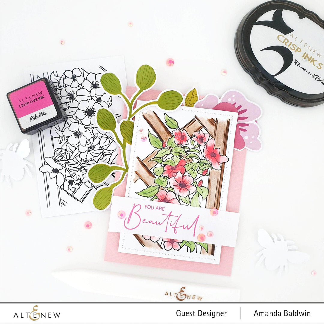 Photocentric Clear Stamps Paint-A-Flower: Clematis Outline Stamp Set