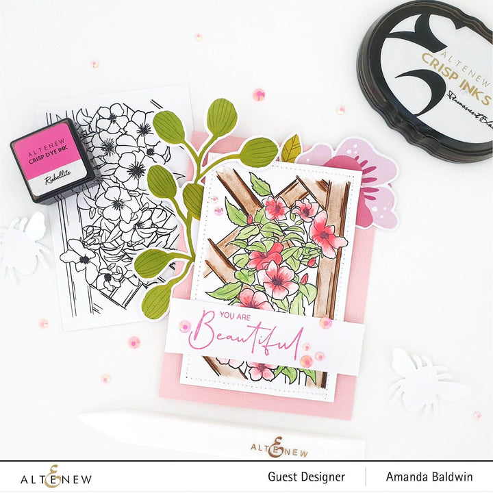 Photocentric Clear Stamps Paint-A-Flower: Clematis Outline Stamp Set