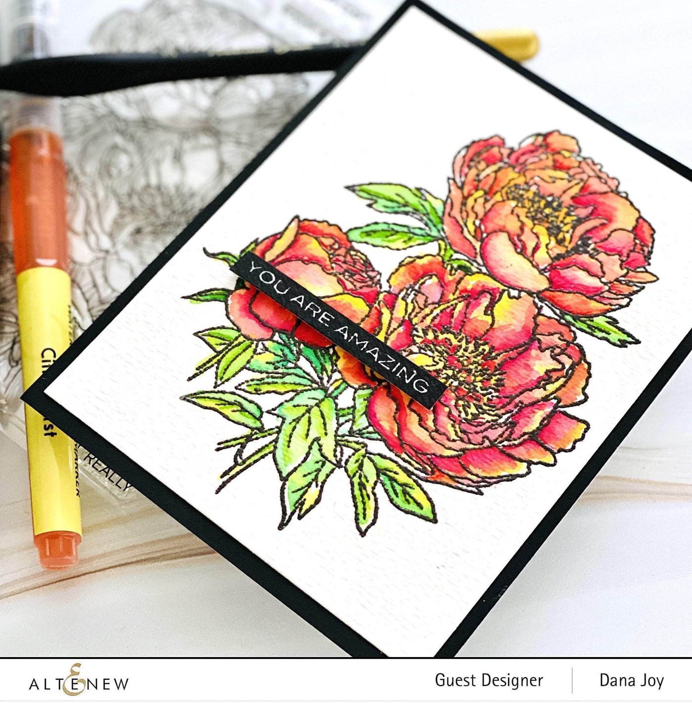 Photocentric Clear Stamps Paint-A-Flower: Coral Sunset Outline Stamp Set