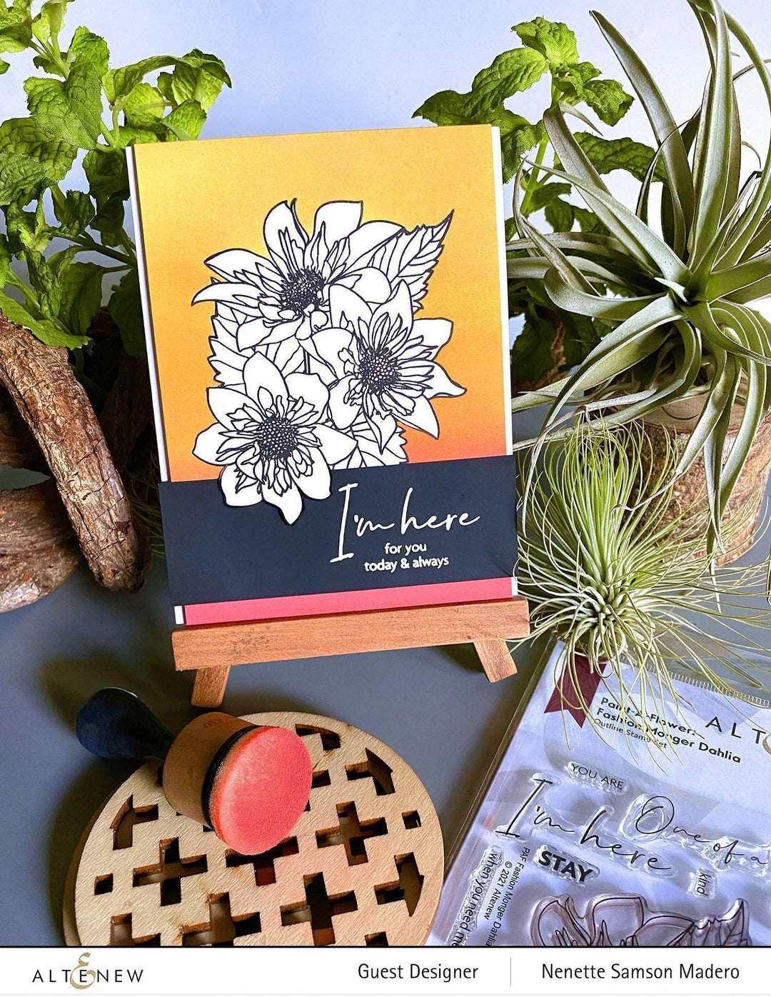 Photocentric Clear Stamps Paint-A-Flower: Fashion Monger Dahlia Outline Stamp Set