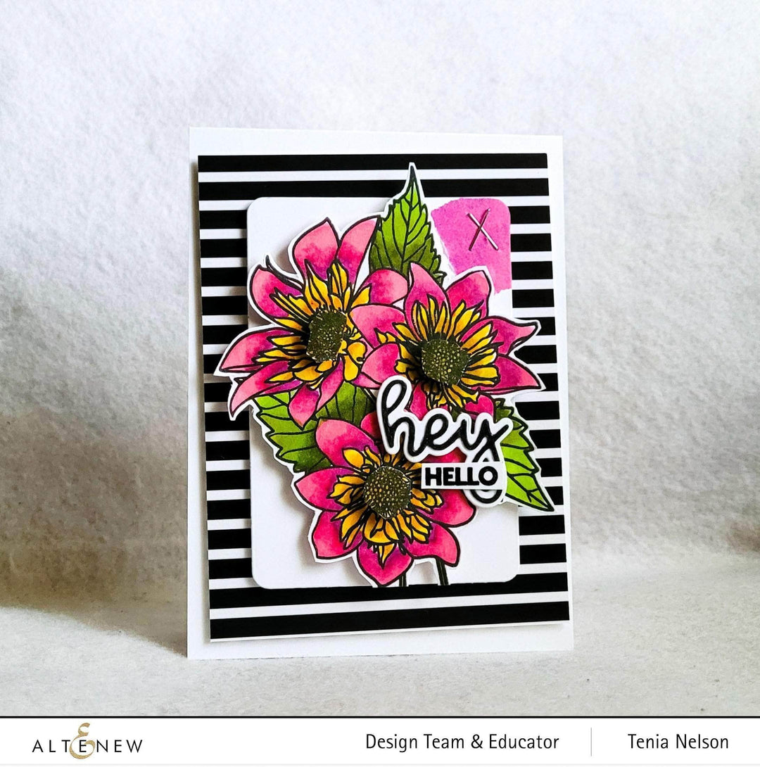 Photocentric Clear Stamps Paint-A-Flower: Fashion Monger Dahlia Outline Stamp Set