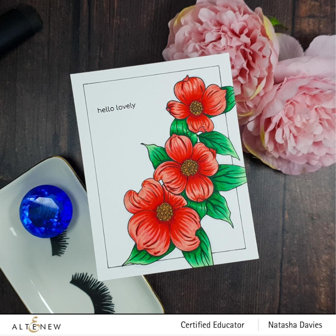 Photocentric Clear Stamps Paint-A-Flower: Flowering Dogwood Outline Stamp Set