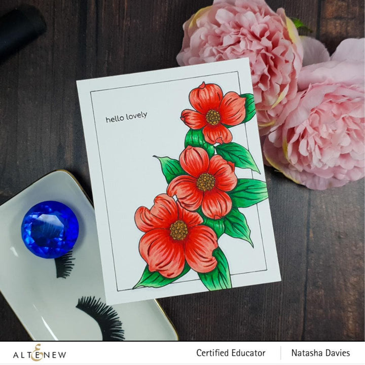 Photocentric Clear Stamps Paint-A-Flower: Flowering Dogwood Outline Stamp Set