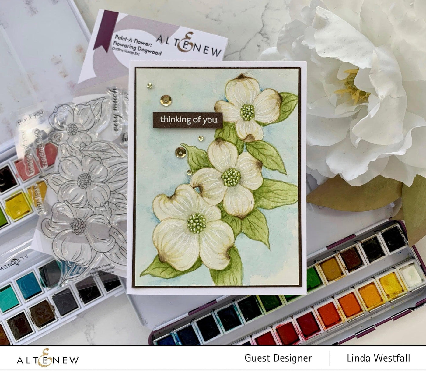 Photocentric Clear Stamps Paint-A-Flower: Flowering Dogwood Outline Stamp Set