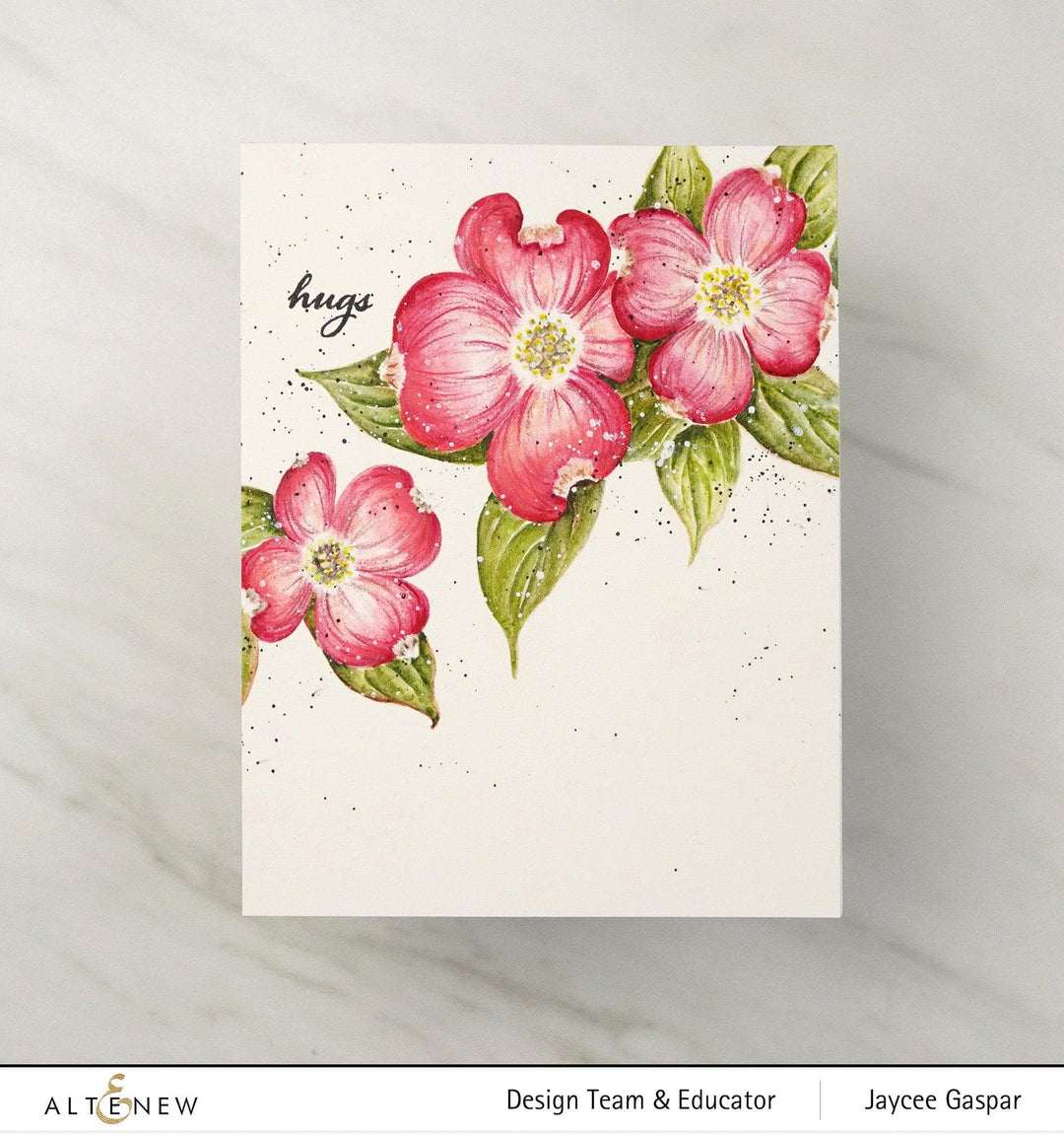Photocentric Clear Stamps Paint-A-Flower: Flowering Dogwood Outline Stamp Set