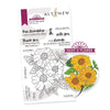 PMA Industries, Inc. Clear Stamps Paint-A-Flower: French Marigold Outline Stamp Set