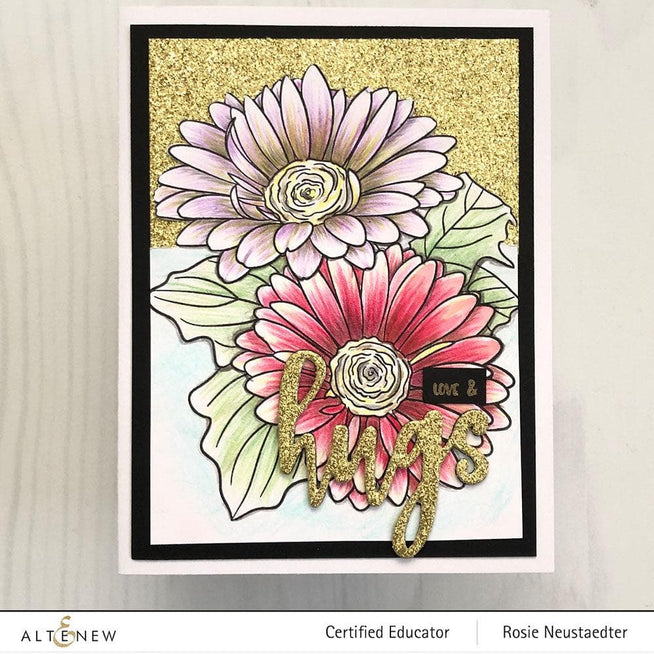 Photocentric Clear Stamps Paint-A-Flower: Gerbera Revolution Outline Stamp Set