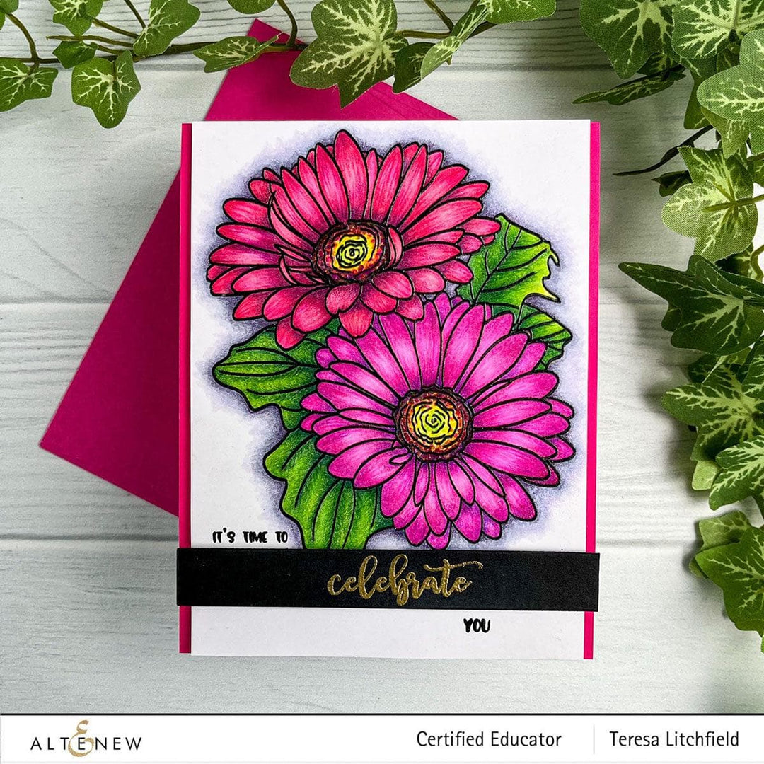 Photocentric Clear Stamps Paint-A-Flower: Gerbera Revolution Outline Stamp Set