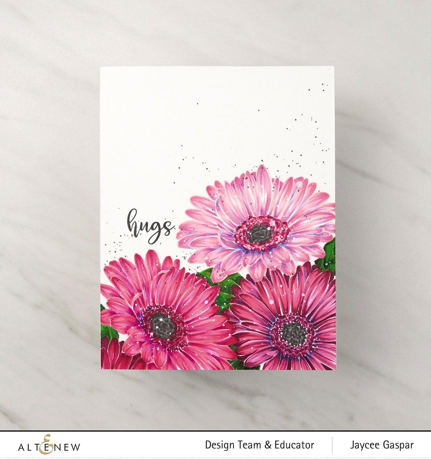 Photocentric Clear Stamps Paint-A-Flower: Gerbera Revolution Outline Stamp Set