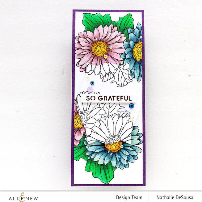 Photocentric Clear Stamps Paint-A-Flower: Gerbera Revolution Outline Stamp Set