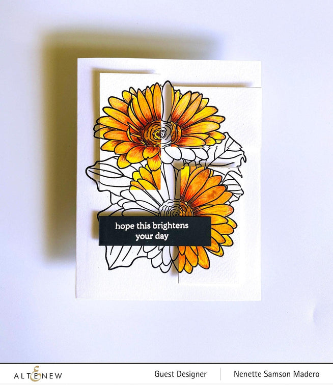 Photocentric Clear Stamps Paint-A-Flower: Gerbera Revolution Outline Stamp Set
