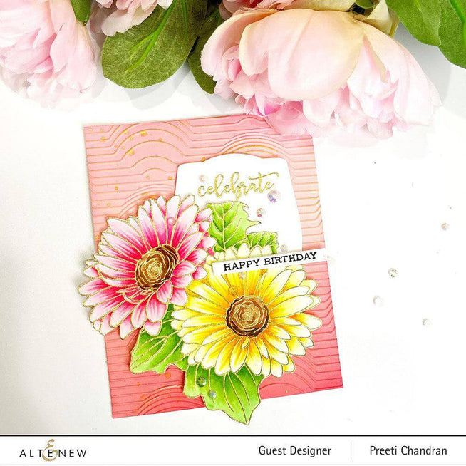 Photocentric Clear Stamps Paint-A-Flower: Gerbera Revolution Outline Stamp Set