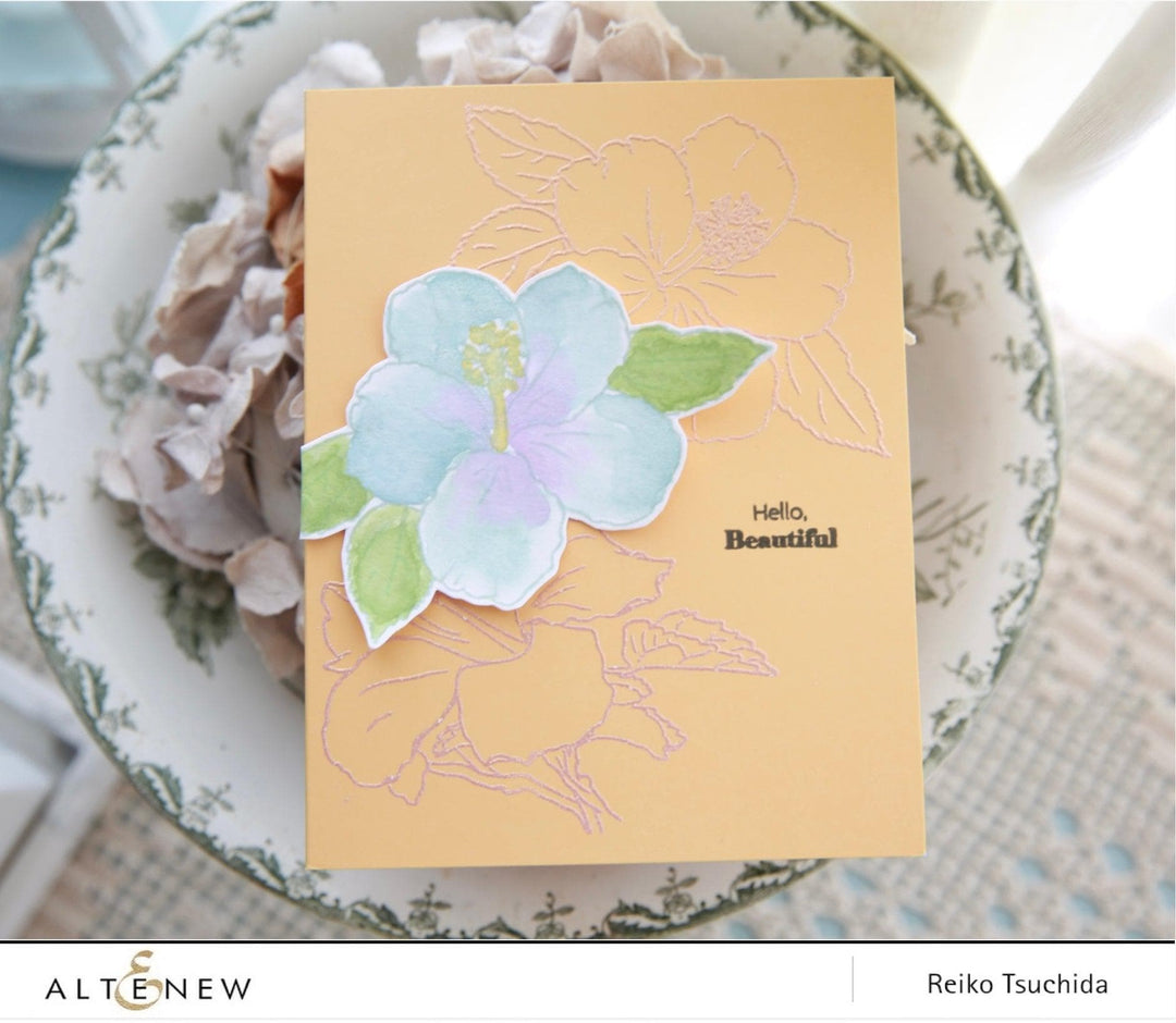 Photocentric Clear Stamps Paint-A-Flower: Hibiscus Outline Stamp Set