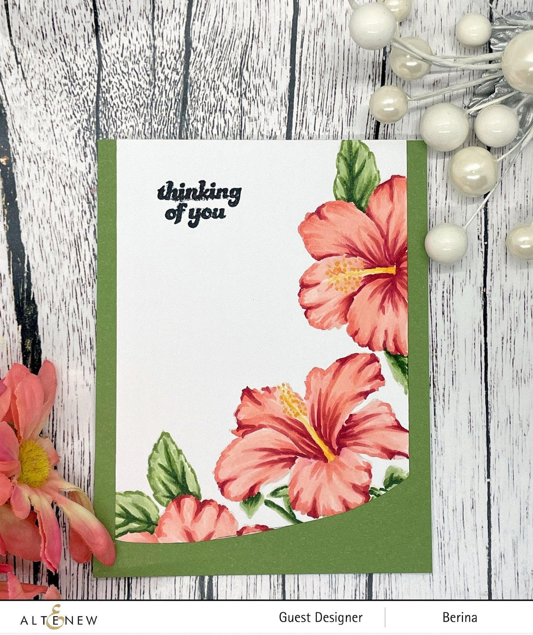 Photocentric Clear Stamps Paint-A-Flower: Hibiscus Outline Stamp Set