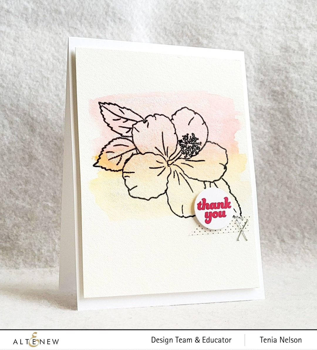 Photocentric Clear Stamps Paint-A-Flower: Hibiscus Outline Stamp Set
