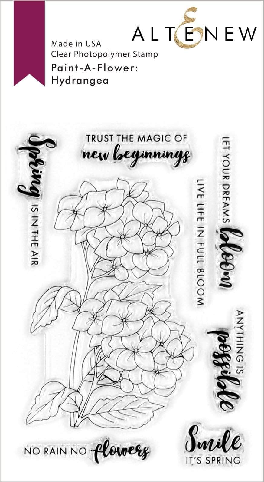 Photocentric Clear Stamps Paint-A-Flower: Hydrangea Outline Stamp Set