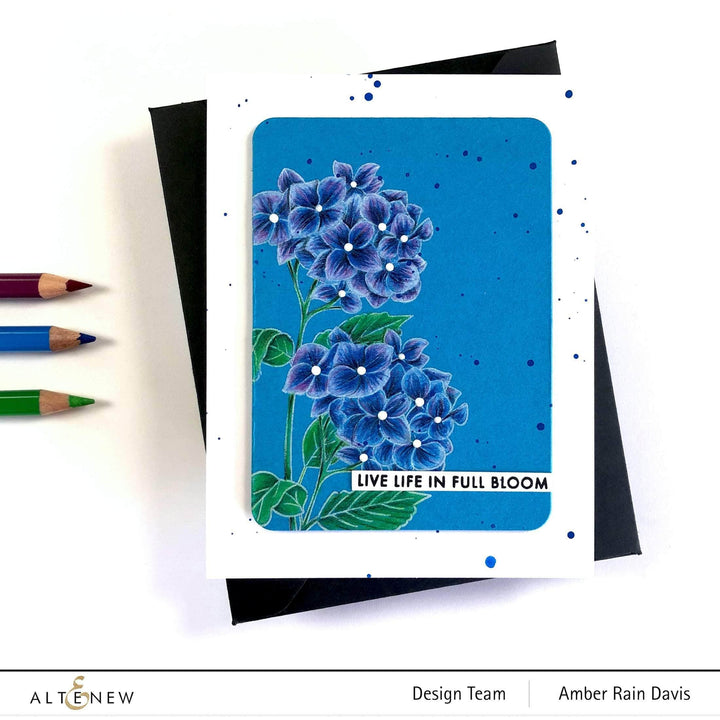 Photocentric Clear Stamps Paint-A-Flower: Hydrangea Outline Stamp Set