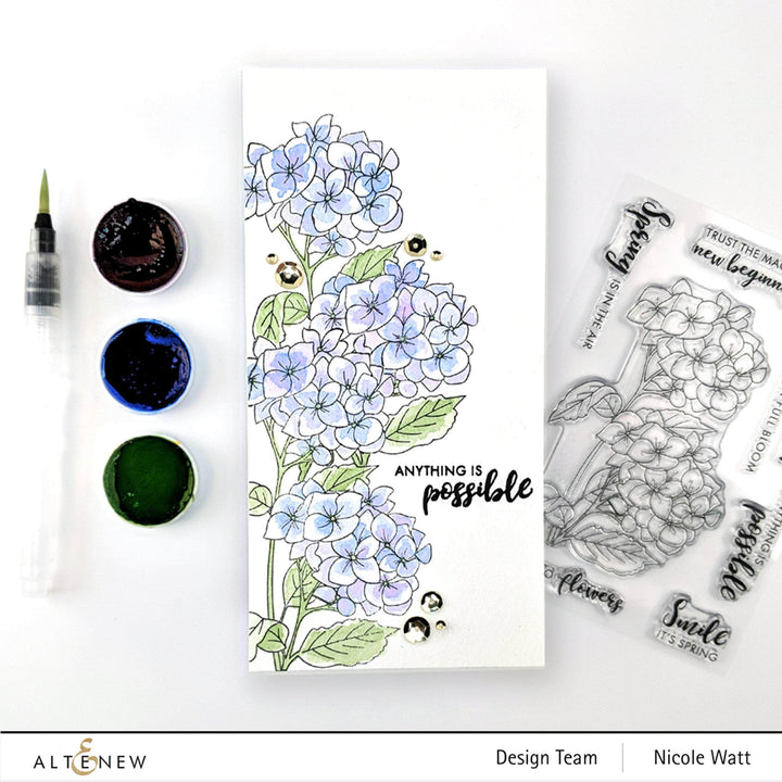 Photocentric Clear Stamps Paint-A-Flower: Hydrangea Outline Stamp Set