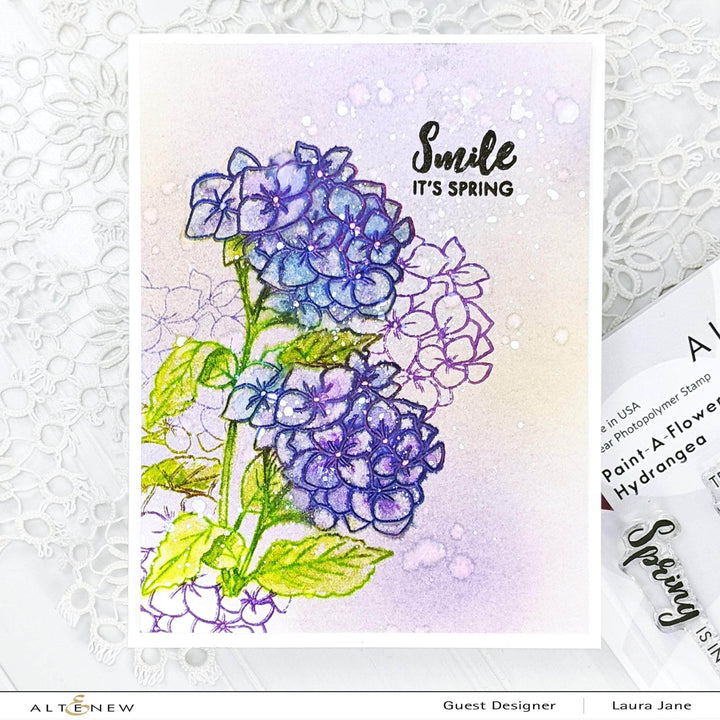 Photocentric Clear Stamps Paint-A-Flower: Hydrangea Outline Stamp Set