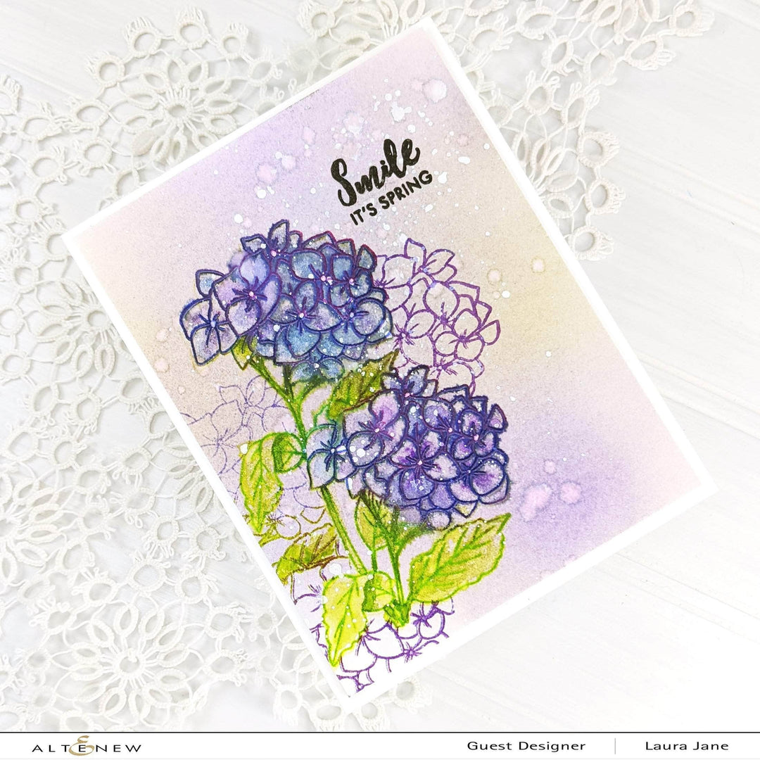 Photocentric Clear Stamps Paint-A-Flower: Hydrangea Outline Stamp Set