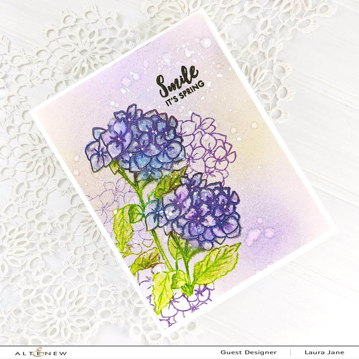 Photocentric Clear Stamps Paint-A-Flower: Hydrangea Outline Stamp Set