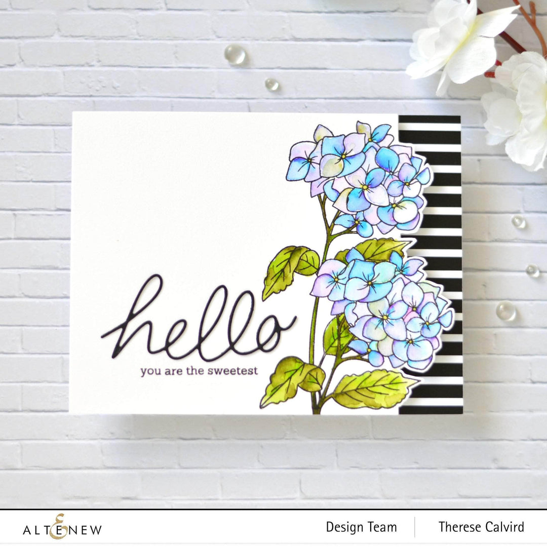 Photocentric Clear Stamps Paint-A-Flower: Hydrangea Outline Stamp Set