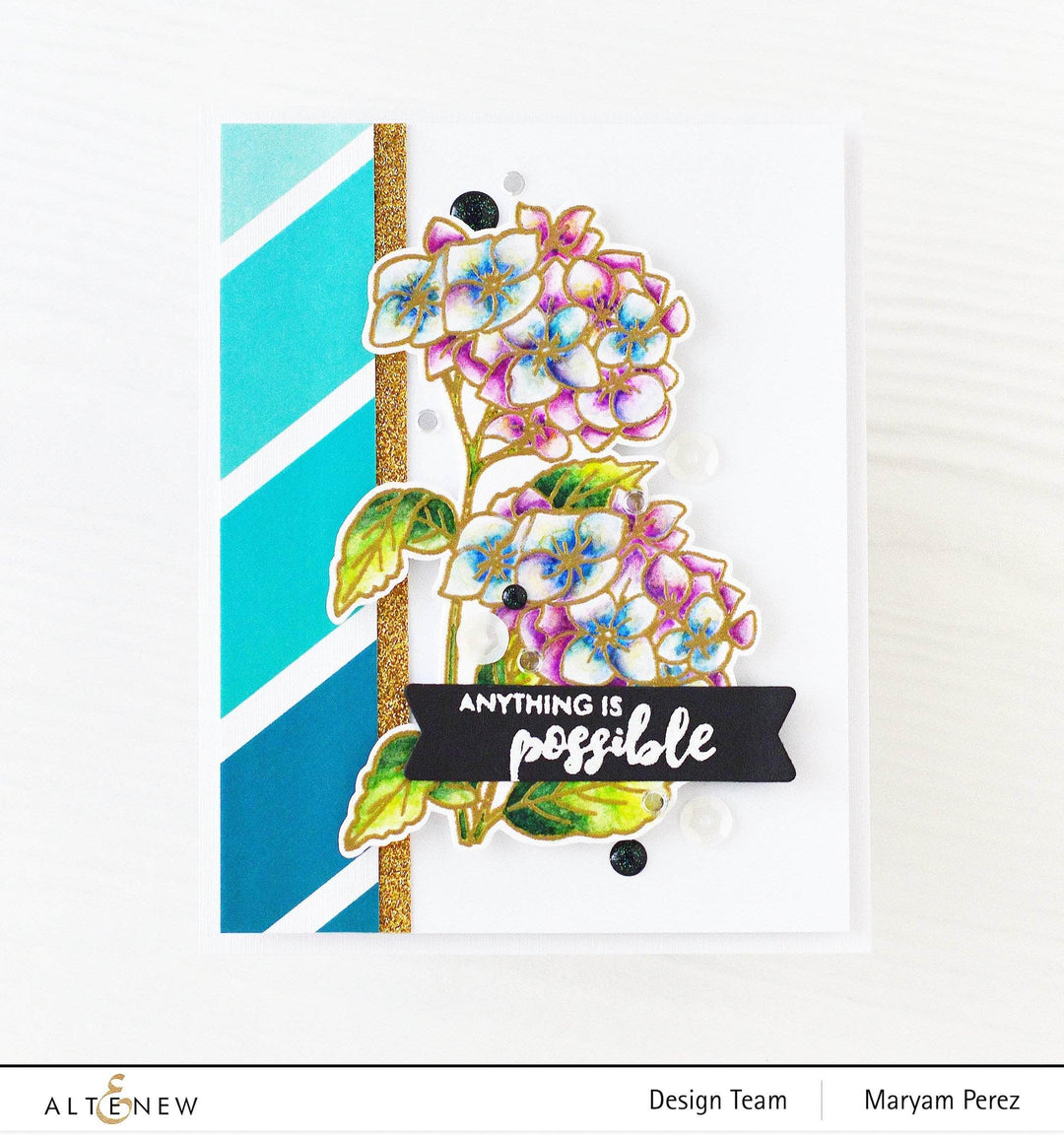 Photocentric Clear Stamps Paint-A-Flower: Hydrangea Outline Stamp Set