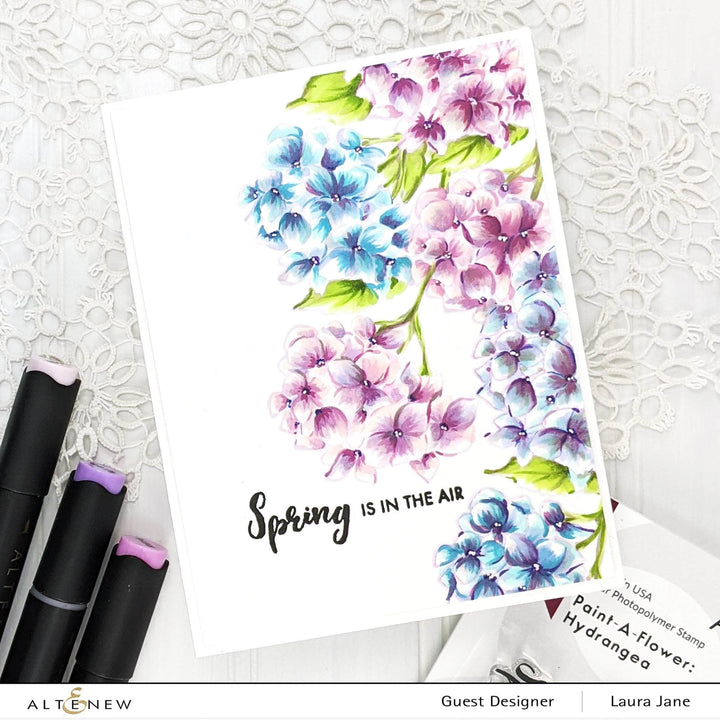 Photocentric Clear Stamps Paint-A-Flower: Hydrangea Outline Stamp Set