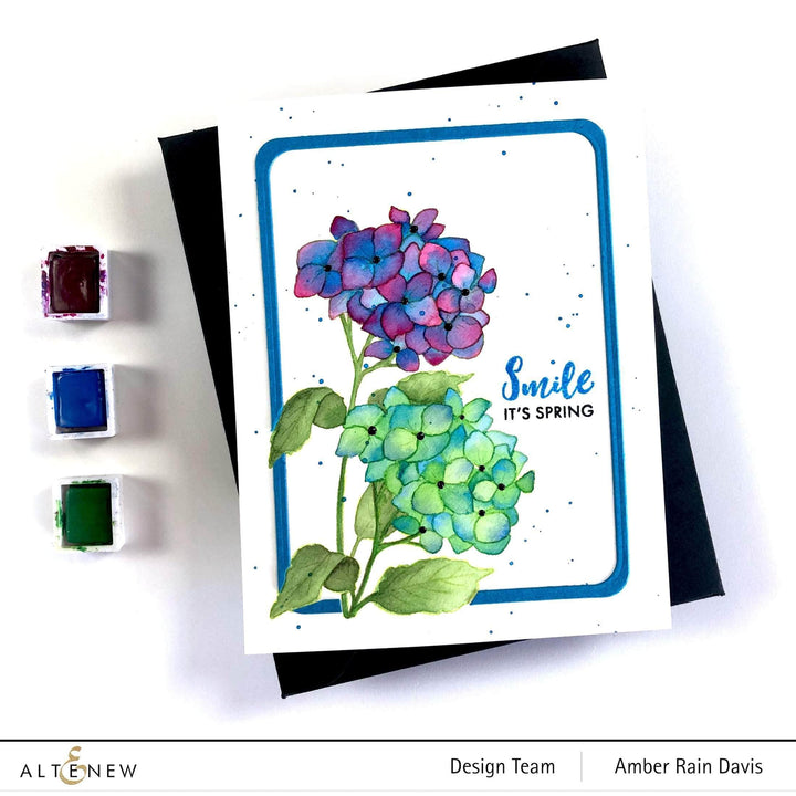 Photocentric Clear Stamps Paint-A-Flower: Hydrangea Outline Stamp Set