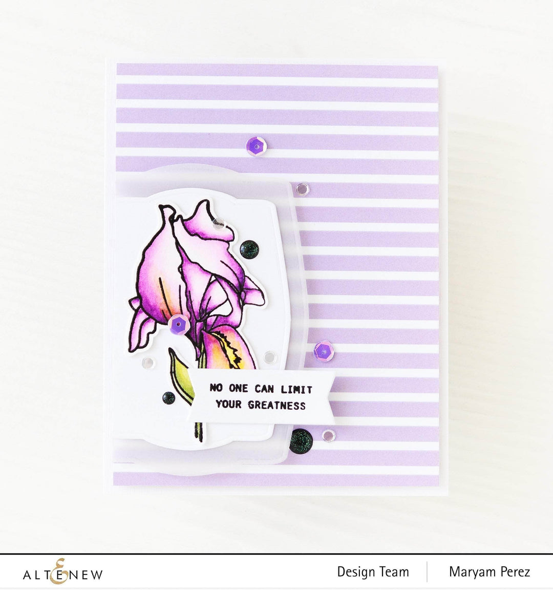 Photocentric Clear Stamps Paint-A-Flower: Iris Outline Stamp Set