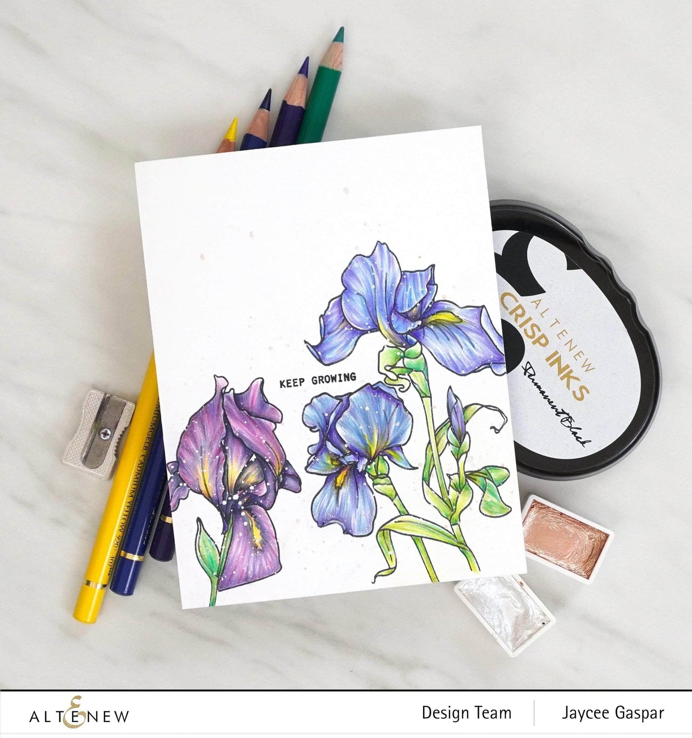 Photocentric Clear Stamps Paint-A-Flower: Iris Outline Stamp Set