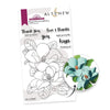 PMA Industries, Inc. Clear Stamps Paint-A-Flower: Magnolia Grandiflora Outline Stamp Set