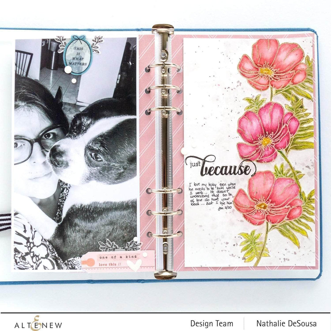 Photocentric Clear Stamps Paint-A-Flower: Poppy Outline Stamp Set