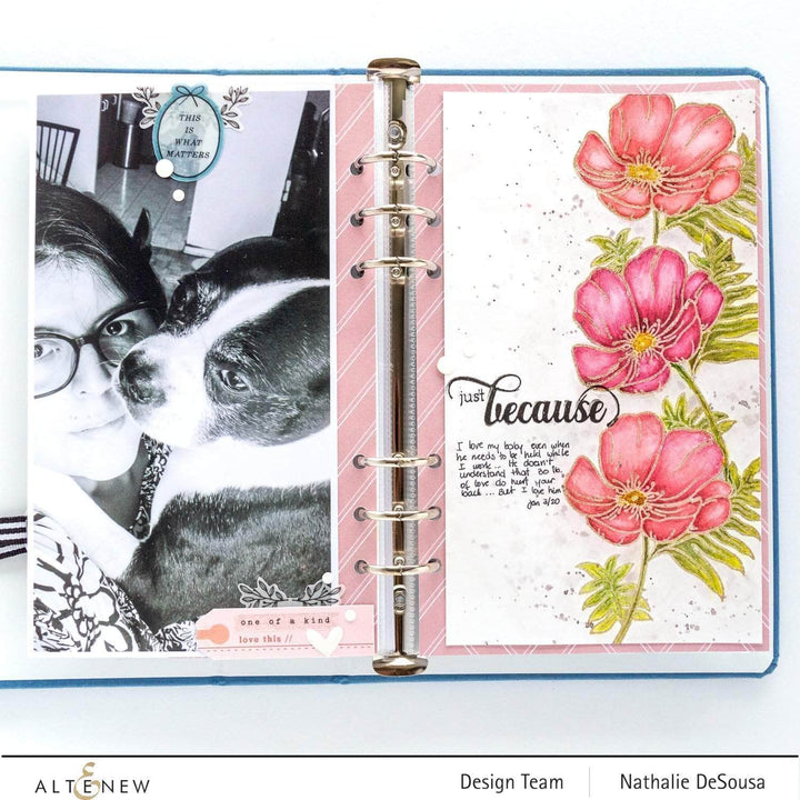 Photocentric Clear Stamps Paint-A-Flower: Poppy Outline Stamp Set