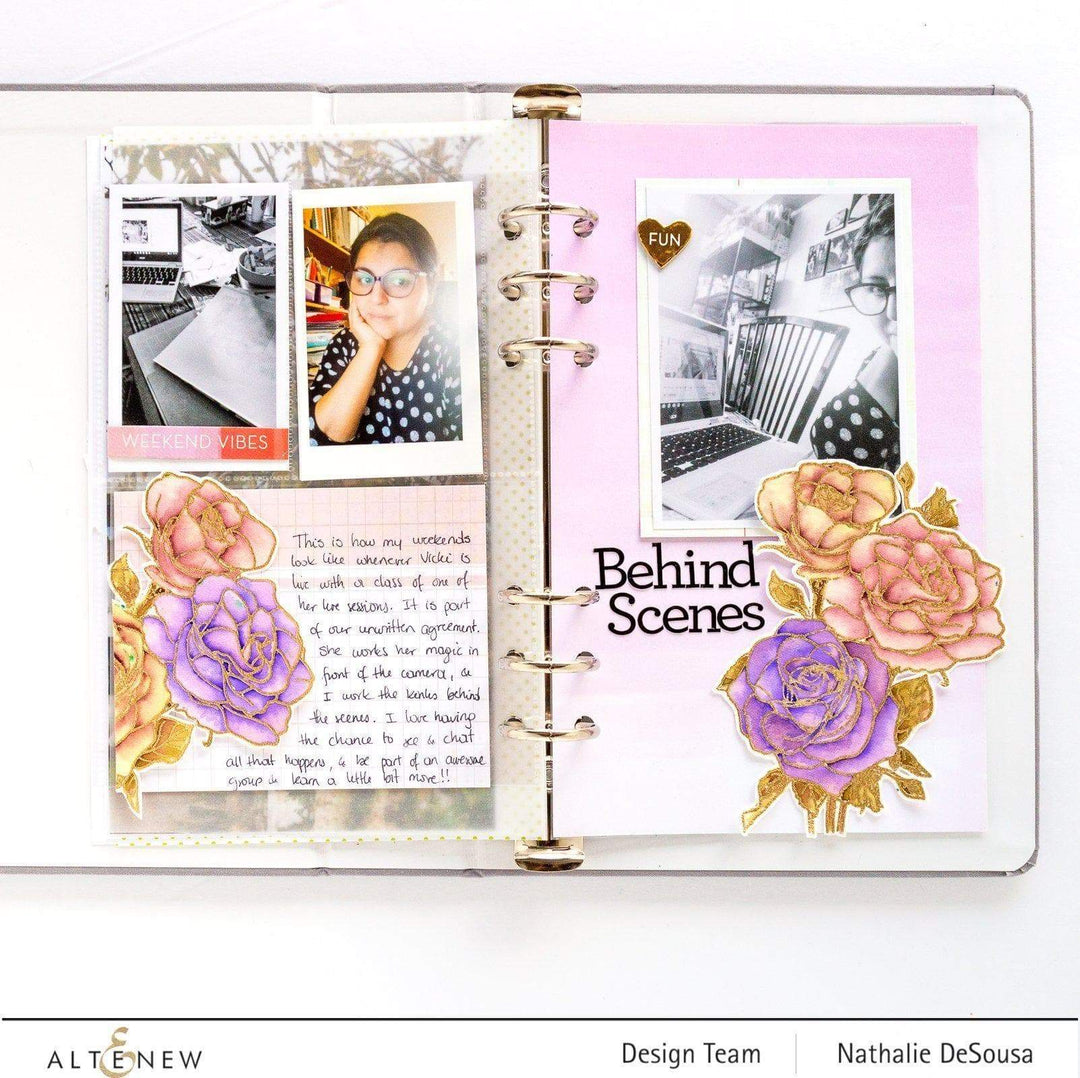 Photocentric Clear Stamps Paint-A-Flower: Rosa Floribunda Outline Stamp Set