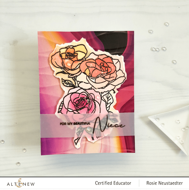 Photocentric Clear Stamps Paint-A-Flower: Rosa Floribunda Outline Stamp Set