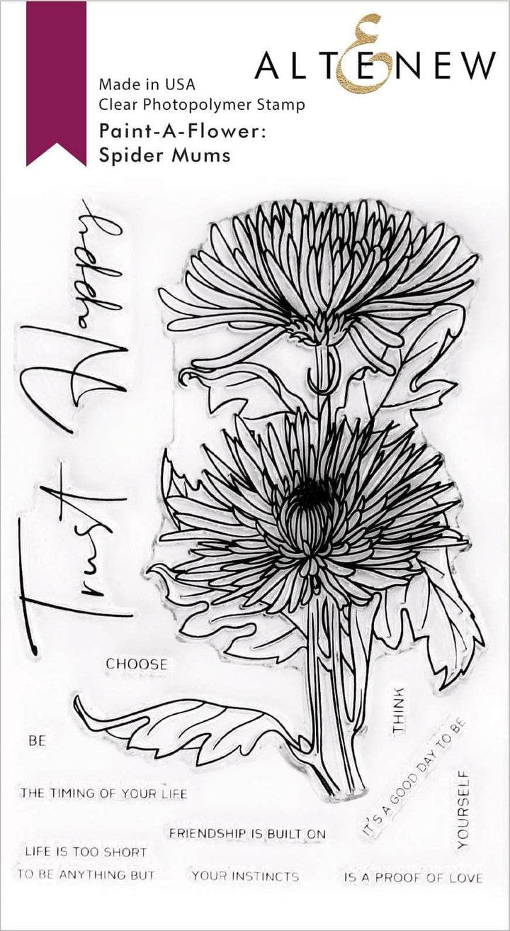 Photocentric Clear Stamps Paint-A-Flower: Spider Mums Outline Stamp Set