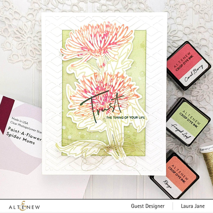 Photocentric Clear Stamps Paint-A-Flower: Spider Mums Outline Stamp Set