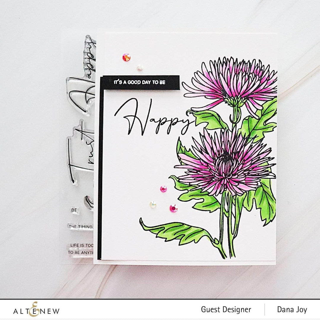 Photocentric Clear Stamps Paint-A-Flower: Spider Mums Outline Stamp Set
