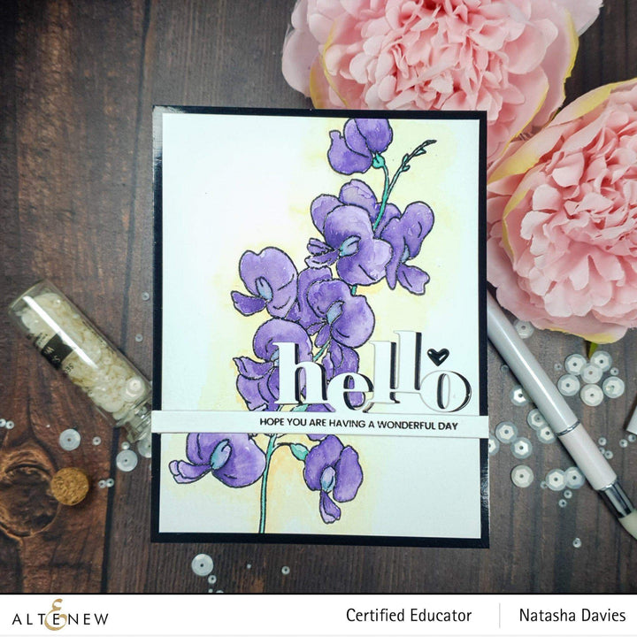 Photocentric Clear Stamps Paint-A-Flower: Sweet Pea Outline Stamp Set