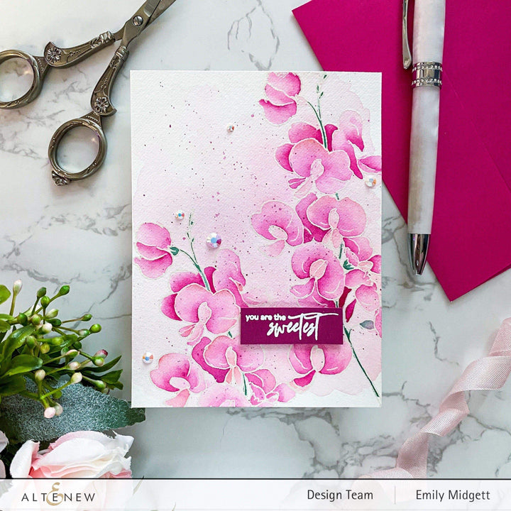 Photocentric Clear Stamps Paint-A-Flower: Sweet Pea Outline Stamp Set