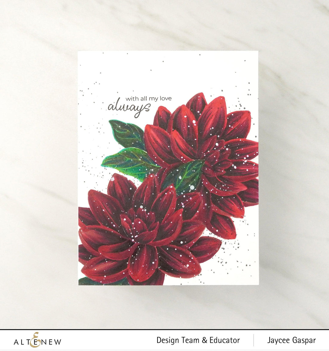 PMA Industries, Inc. Clear Stamps Paint-A-Flower: Waterlily Dahlia Outline Stamp Set