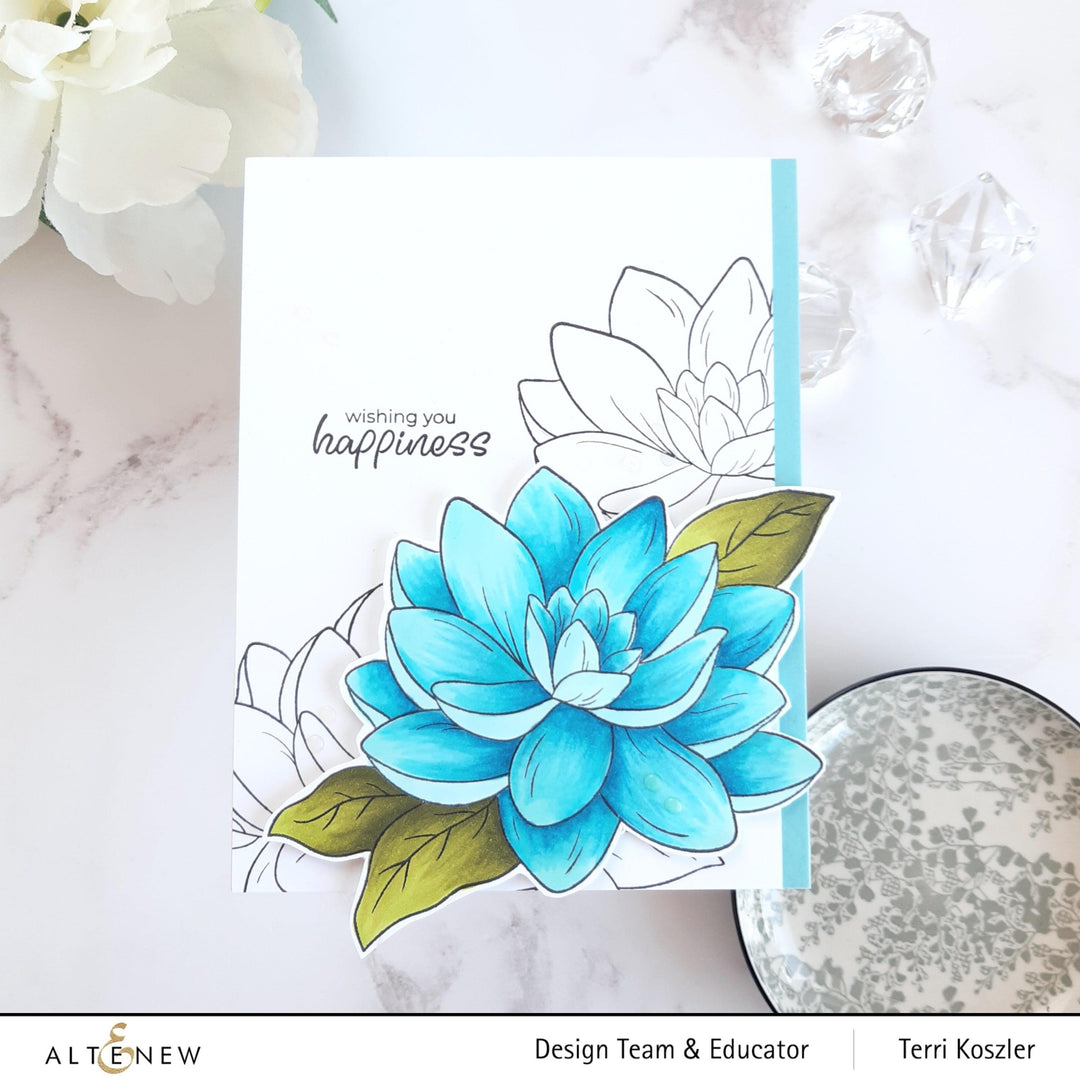 PMA Industries, Inc. Clear Stamps Paint-A-Flower: Waterlily Dahlia Outline Stamp Set