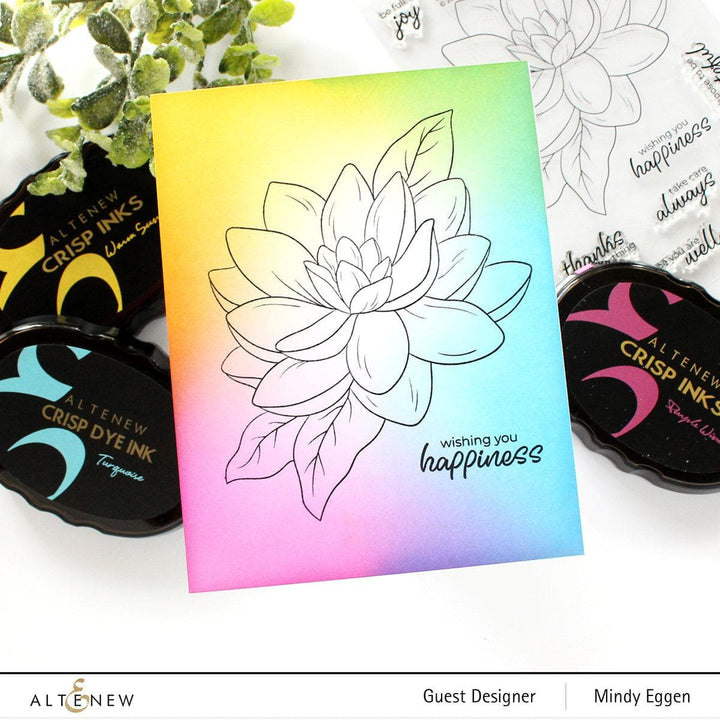 PMA Industries, Inc. Clear Stamps Paint-A-Flower: Waterlily Dahlia Outline Stamp Set