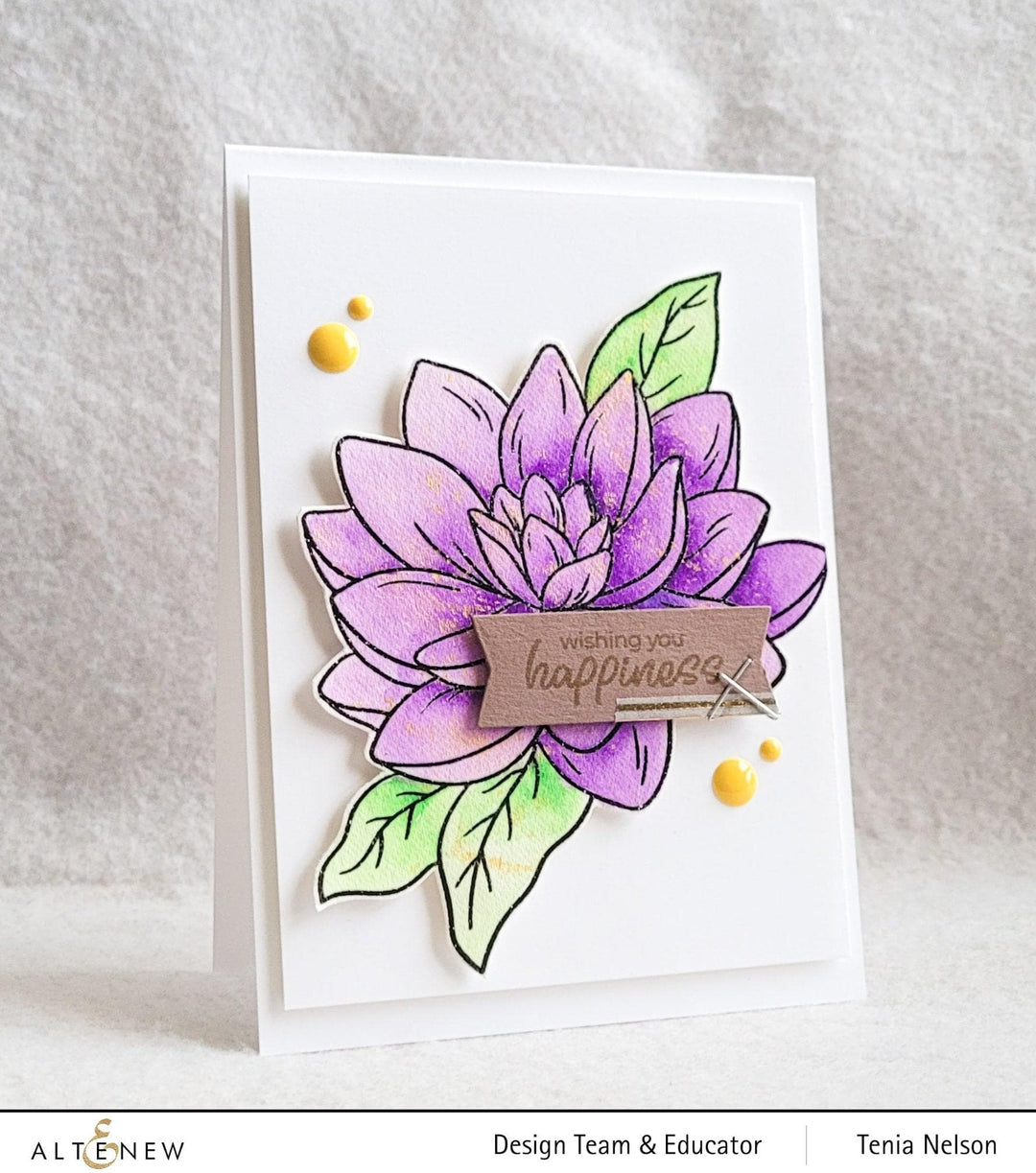 PMA Industries, Inc. Clear Stamps Paint-A-Flower: Waterlily Dahlia Outline Stamp Set